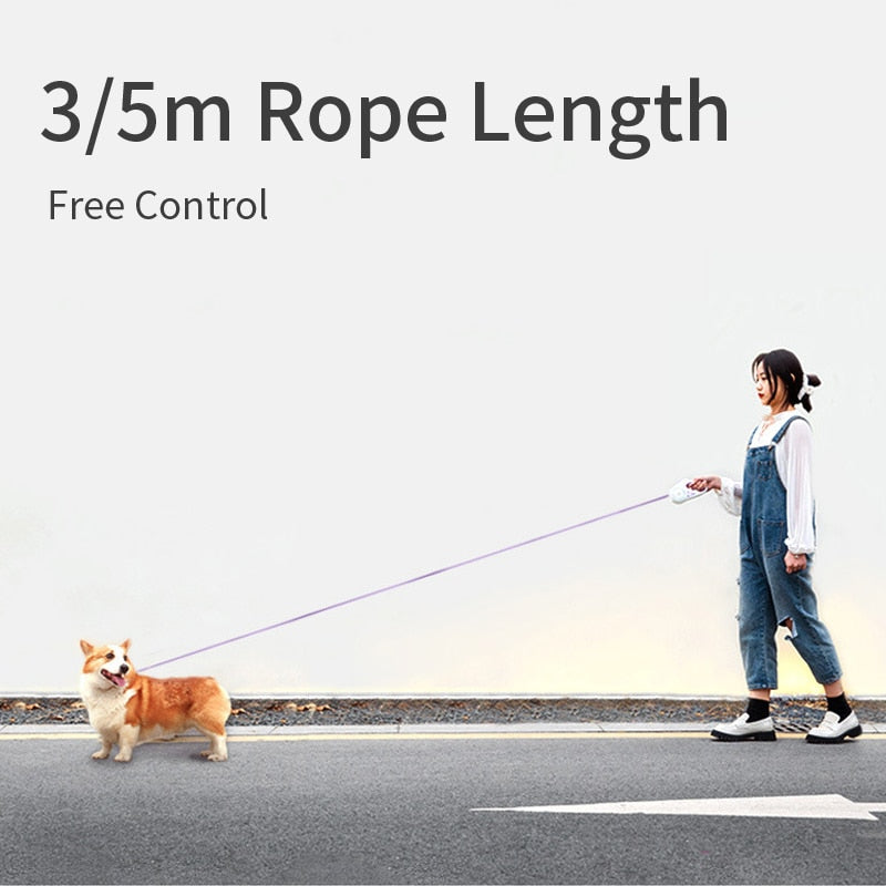 automatic retractable lighting dog leash – this | dropsona - neutral - size reference