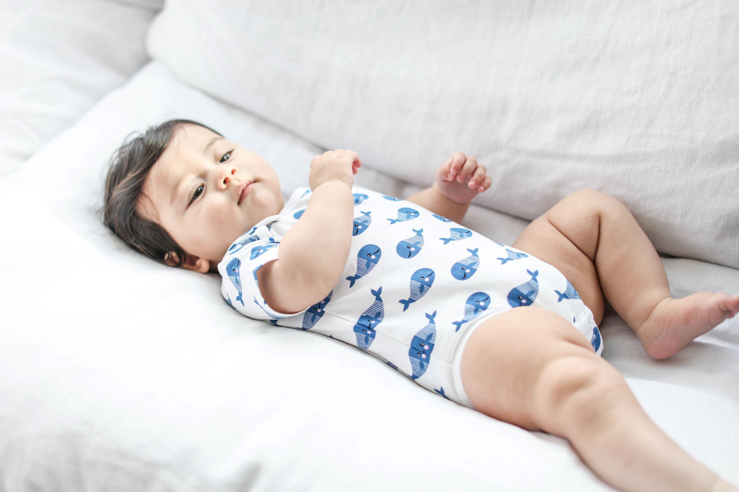smart short sleeve baby bodysuit + bib - blue whale | dropsona - neutral - front view