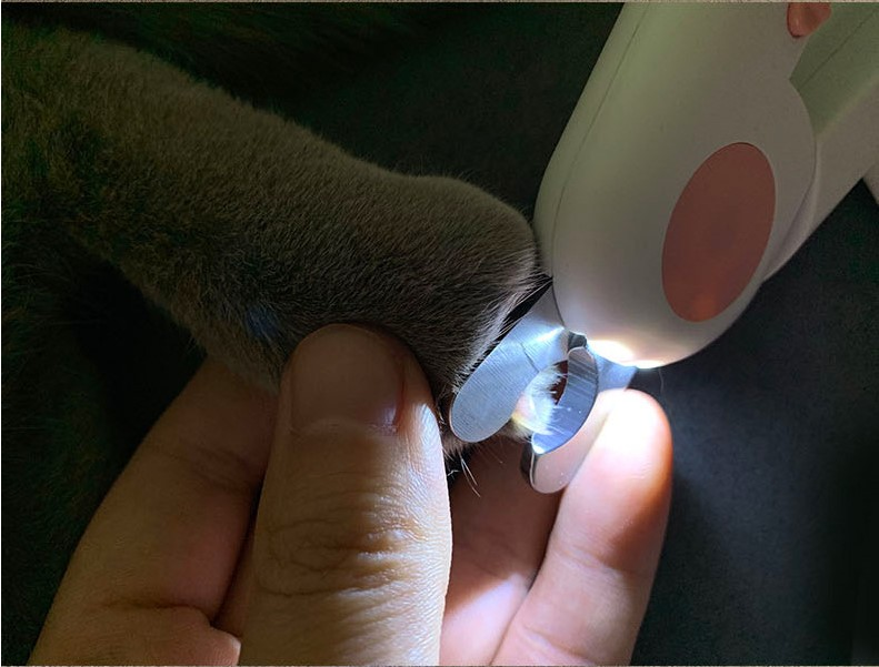 pet nail scissors led cat clipper trimmer nai | dropsona - neutral - size reference