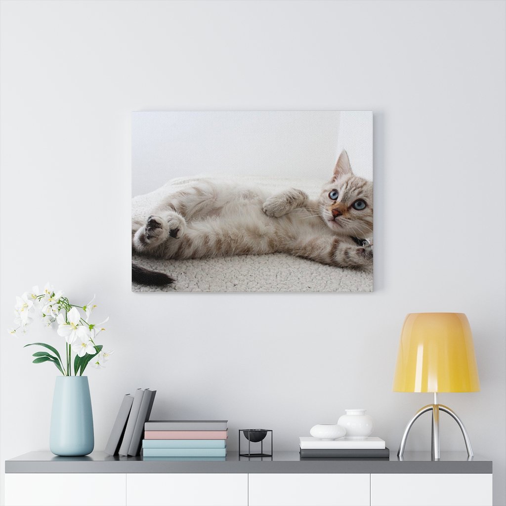 adorable cat canvas gallery wall art – a perfect addit | dropsona - neutral - front view