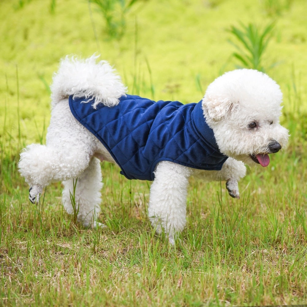 dogs winter warm vest – fur + polyester this is g | dropsona - neutral - usage example