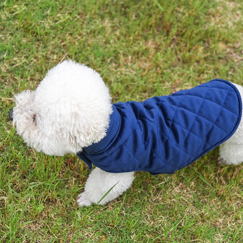 dogs winter warm vest – fur + polyester this is g | dropsona - neutral - everyday use
