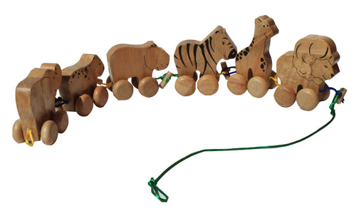 qtoys australia (usa) nature wonder play set aus | dropsona - neutral - front view
