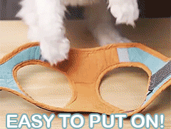 adjustable cat harness with leash set reflective vest | dropsona - neutral - size reference