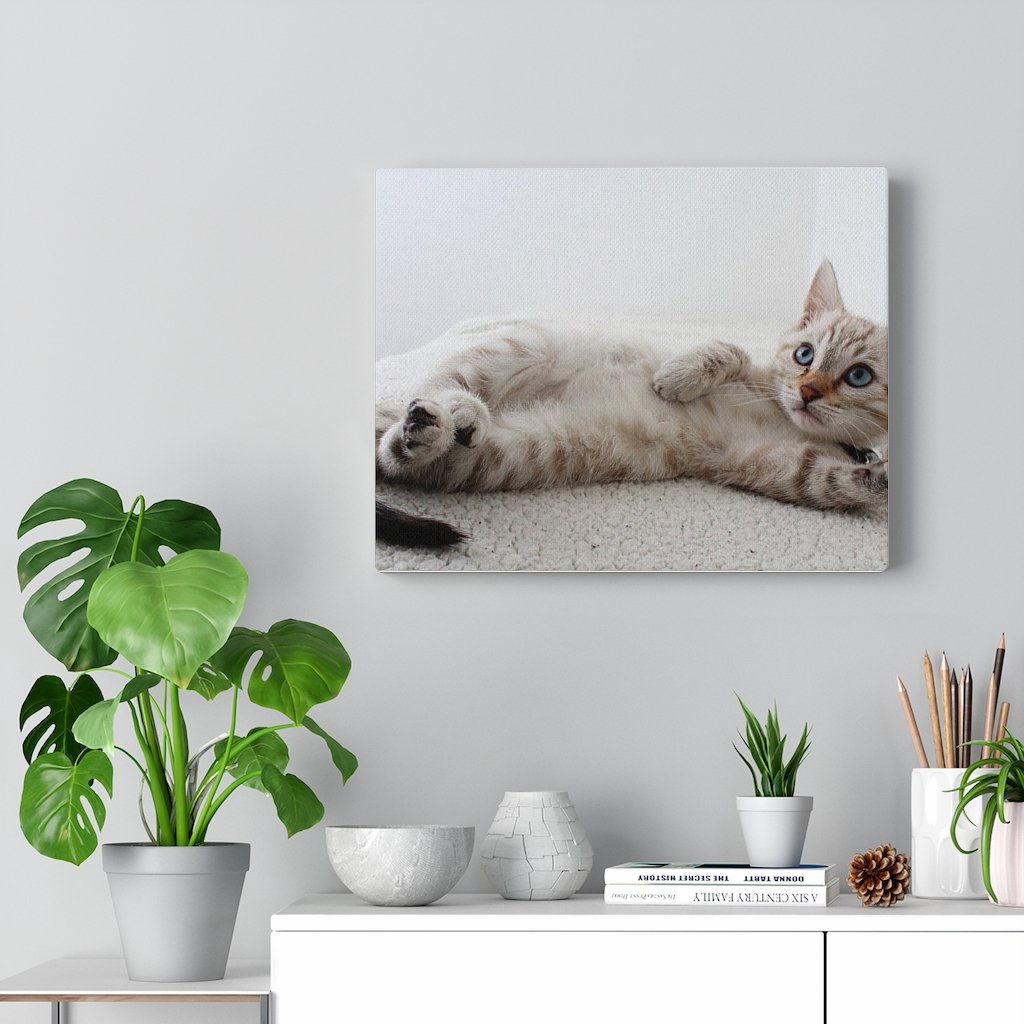 adorable cat canvas gallery wall art – a perfect addit | dropsona - neutral - material texture