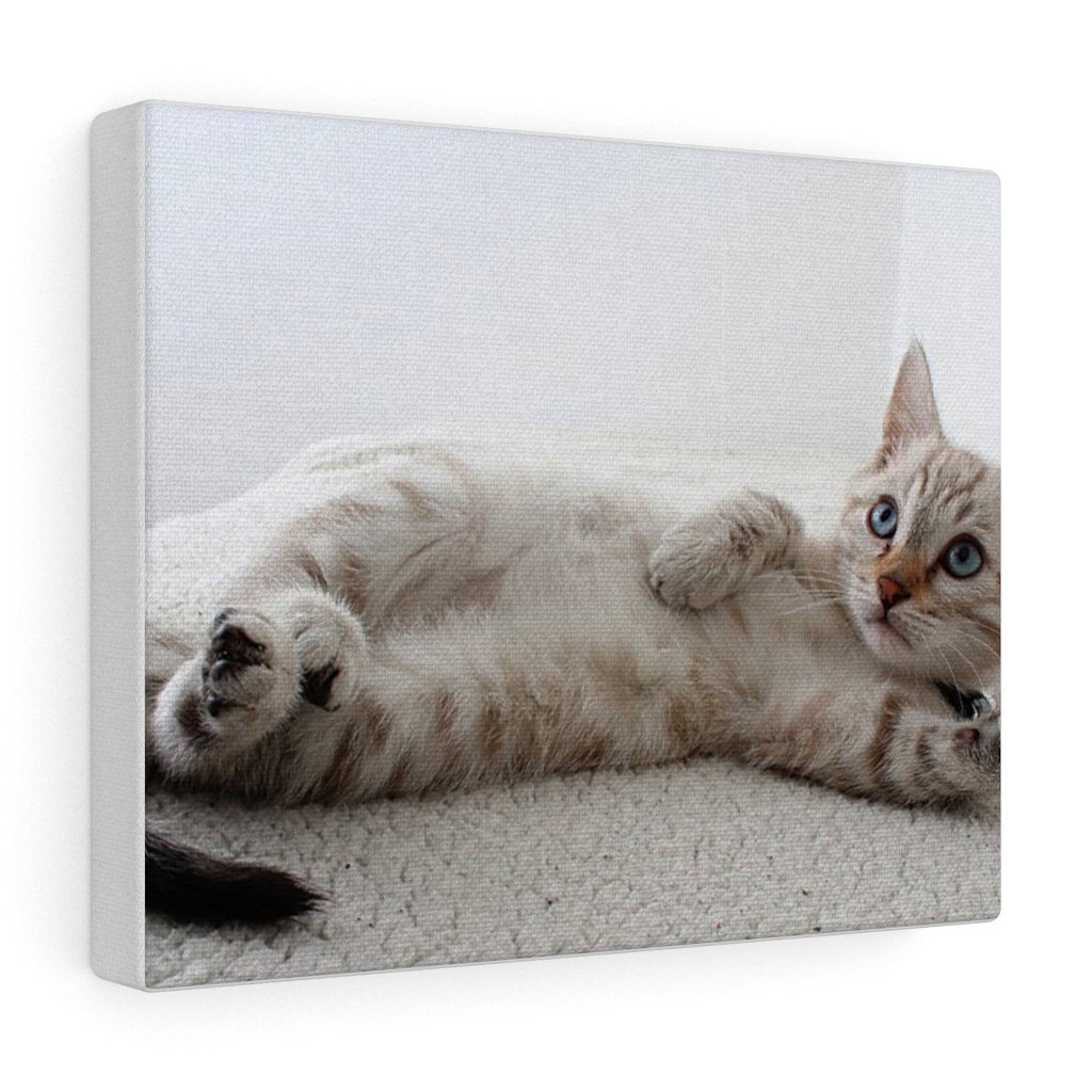 adorable cat canvas gallery wall art – a perfect addit | dropsona - neutral - everyday use