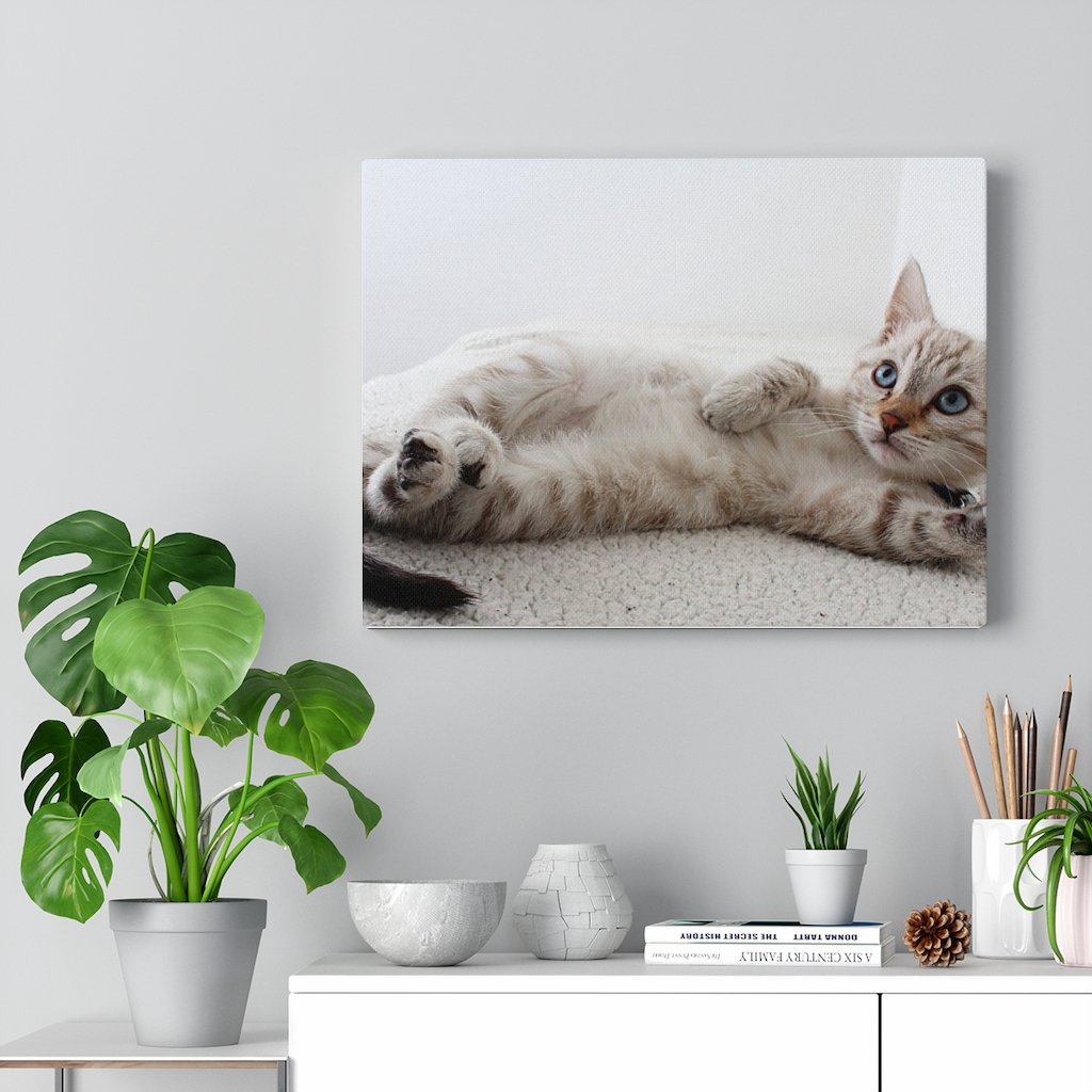 adorable cat canvas gallery wall art – a perfect addit | dropsona - neutral - close-up detail