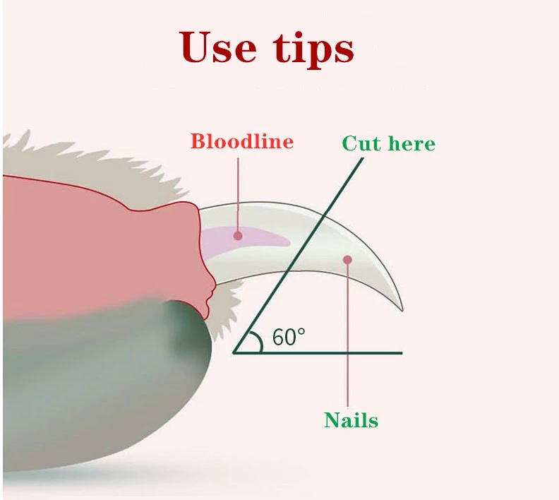 pet nail scissors led cat clipper trimmer nai | dropsona - neutral - close-up detail