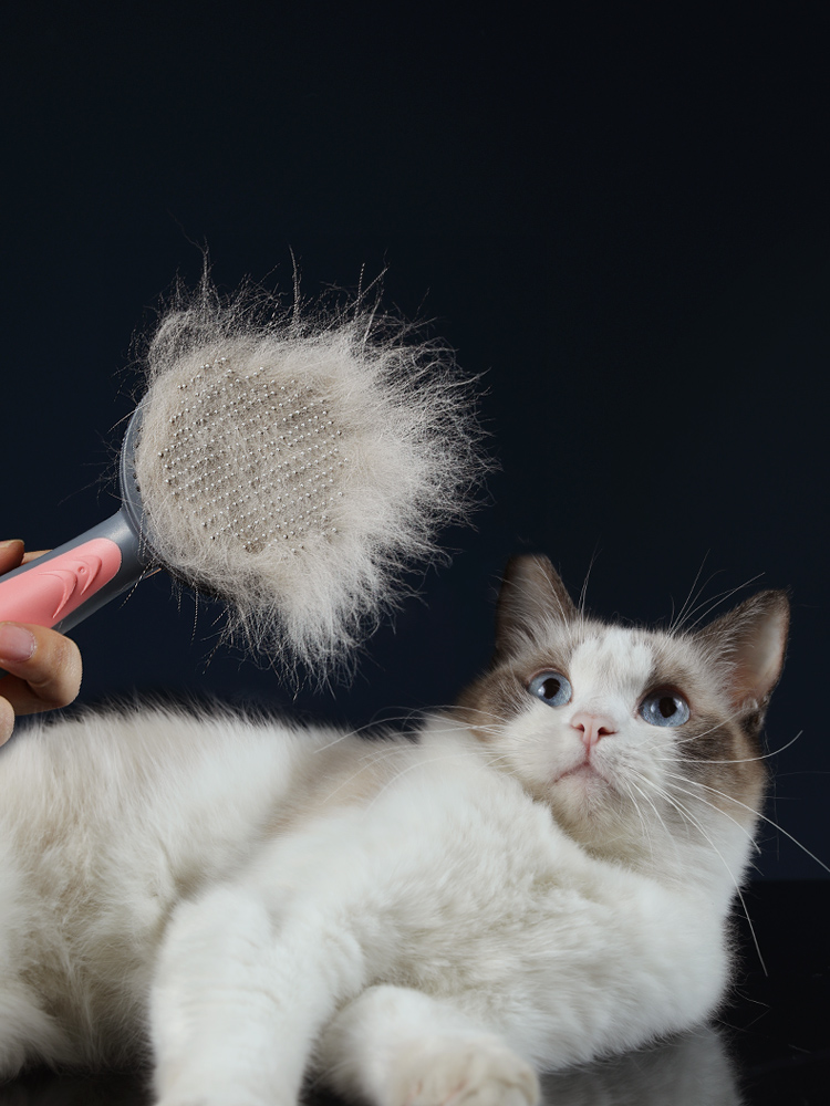 pet grooming cat comb dog hair brush groo | dropsona - neutral - close-up detail