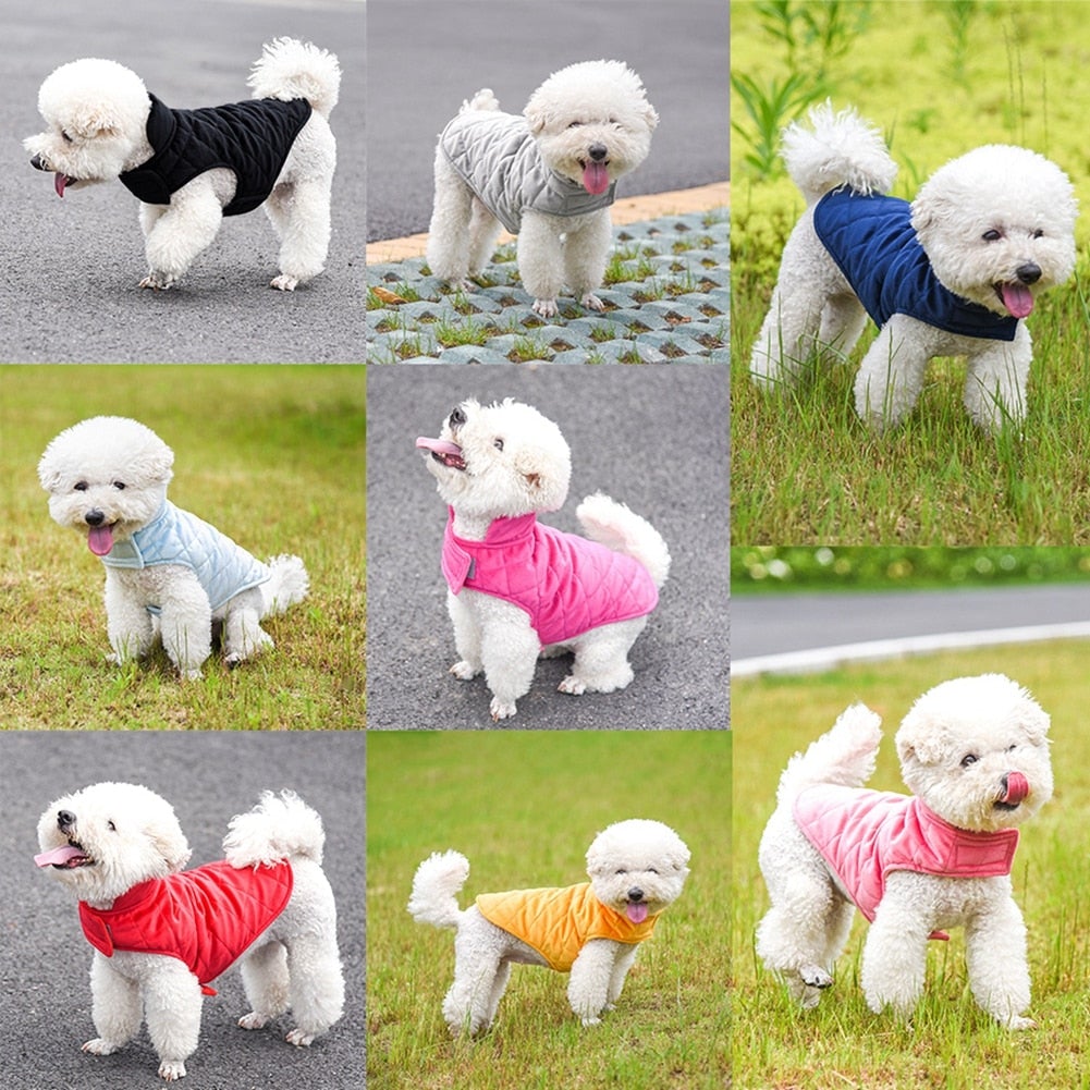 dogs winter warm vest – fur + polyester this is g | dropsona - neutral - close-up detail