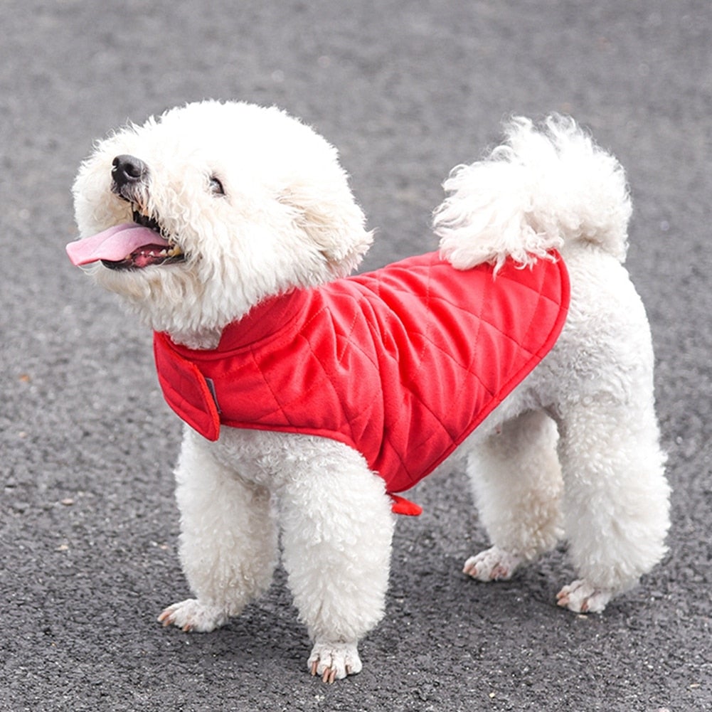 dogs winter warm vest – fur + polyester this is g | dropsona - neutral - front view