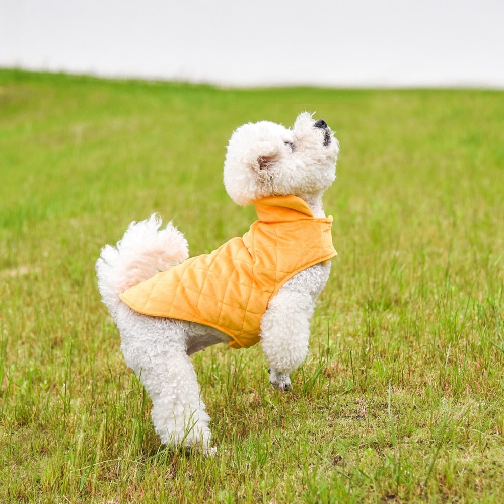 dogs winter warm vest – fur + polyester this is g | dropsona - neutral - packaging